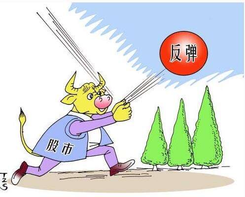 大跌后如何把握反弹？