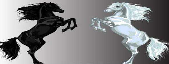 “一飞冲天”捕捉黑马股