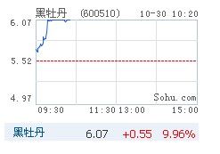 黑牡丹股价飙升 快速冲击涨停